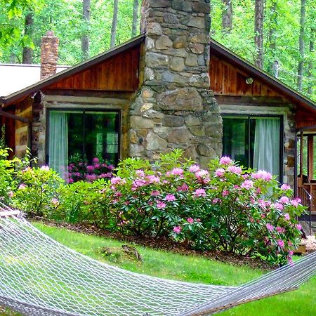 Asheville Cabins Of Willow Winds Ngoại thất bức ảnh